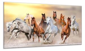 Obraz sklenený stádo koní v piesku - 40 x 60 cm