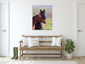 Obraz sklenený dva arabské kone na lúke - 30 x 60 cm