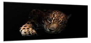 Obraz sklenený portrét ležiaci leopard - 34 x 72 cm