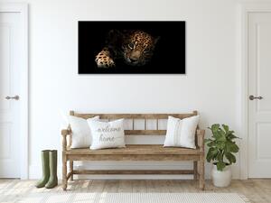 Obraz sklenený portrét ležiaci leopard - 50 x 100 cm