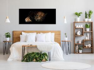 Obraz sklenený portrét ležiaci leopard - 30 x 60 cm