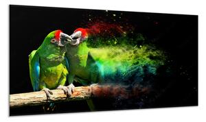 Obraz sklenený papagáj ara vojenská - 40 x 60 cm
