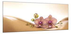Obraz sklenený orchidea na hnedej vlne - 50 x 100 cm