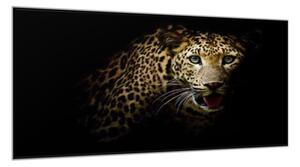 Obraz sklenený hlava leoparda - 30 x 40 cm