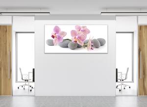Obraz sklenený ružové kvety orchideí na šedých kameňoch - 65 x 90 cm