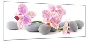 Obraz sklenený ružové kvety orchideí na šedých kameňoch - 50 x 100 cm