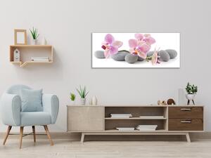 Obraz sklenený ružové kvety orchideí na šedých kameňoch - 34 x 72 cm