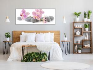 Obraz sklenený ružové kvety orchideí na šedých kameňoch - 65 x 90 cm