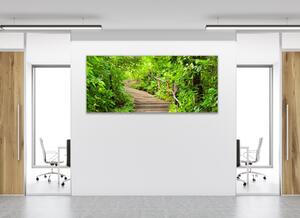 Obraz sklenený schody v lese - 30 x 60 cm