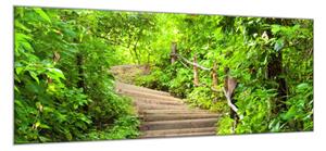 Obraz sklenený schody v lese - 50 x 100 cm