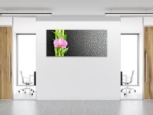 Obraz sklenený kvet ružová orchidea a bambus na čiernom pozadí - 30 x 60 cm