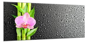 Obraz sklenený kvet ružová orchidea a bambus na čiernom pozadí - 50 x 100 cm