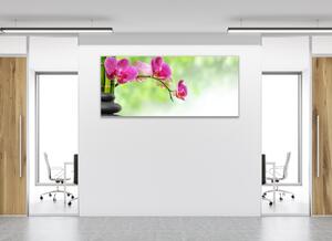 Obraz sklenený kvety ružové orchidey na stonke a bambus - 30 x 60 cm