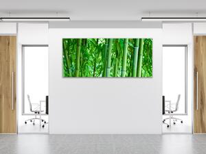 Obraz sklenený sýto zelený bambusový les - 30 x 60 cm
