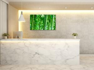 Obraz sklenený sýto zelený bambusový les - 50 x 100 cm