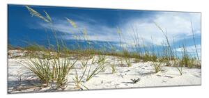 Obraz sklenený piesočná duna s trávou - 50 x 100 cm
