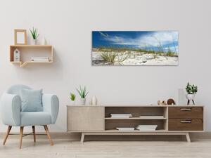 Obraz sklenený piesočná duna s trávou - 30 x 60 cm