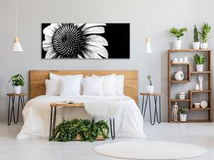 Obraz sklenený čiernobiely kvet slnečnice - 40 x 60 cm