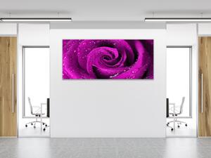 Obraz sklenený detail kvetu ruže - 50 x 100 cm