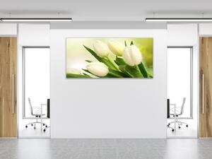 Obraz sklenený kvety biele tulipány na zelenom pozadí - 50 x 70 cm