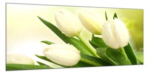 Obraz sklenený kvety biele tulipány na zelenom pozadí - 40 x 60 cm