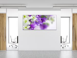 Obraz sklenený kvety bielych a modrých zvončekov - 50 x 100 cm