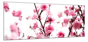 Obraz sklenený ružové kvety slivky - 34 x 72 cm