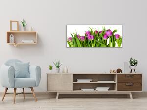 Obraz sklenený kvety ružovo fialové tulipány - 50 x 100 cm