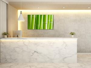 Obraz sklenený detaily stvolu zeleného bambusu - 50 x 100 cm
