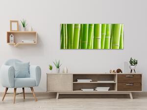 Obraz sklenený detaily stvolu zeleného bambusu - 50 x 100 cm