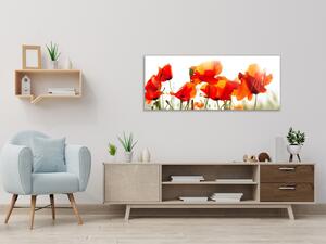 Obraz sklenený maľované kvety vlčie maky - 50 x 100 cm