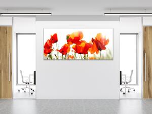 Obraz sklenený maľované kvety vlčie maky - 30 x 60 cm