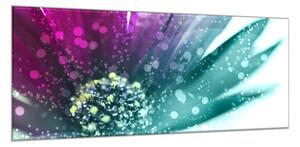 Obraz sklenený abstraktný kvet margarétky - 40 x 60 cm