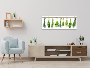 Obraz sklenený bylinky visí na tyči - 50 x 100 cm