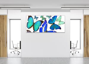 Obraz sklenený modrý motýľ - 50 x 100 cm