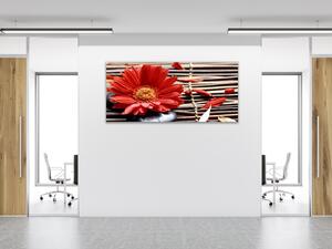 Obraz sklenený kvet červené gerbery na prútie - 50 x 100 cm