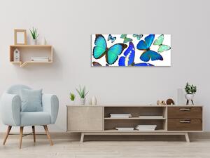 Obraz sklenený modrý motýľ - 30 x 60 cm