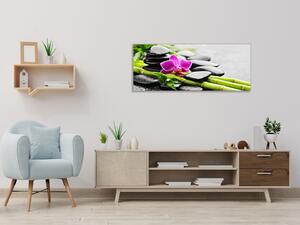 Obraz sklenený ružová orchidea, bambus, kamene - 40 x 60 cm