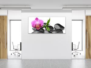 Obraz sklenený kvet ružová orchidea, bambus, čierny kameň - 40 x 60 cm