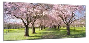 Obraz sklenený sad rozkvitnutých stromov - 40 x 60 cm