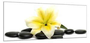 Obraz sklenený kvety žltej ľalie a čierne kamene okruhliaky - 50 x 70 cm