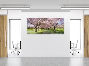 Obraz sklenený sad rozkvitnutých stromov - 50 x 100 cm