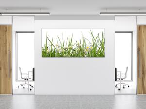 Obraz sklenený sedmokrásky v tráve - 30 x 60 cm