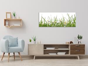 Obraz sklenený sedmokrásky v tráve - 50 x 100 cm