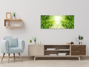 Obraz sklenený detail listov bambusový les - 30 x 60 cm