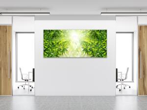Obraz sklenený detail listov bambusový les - 30 x 60 cm