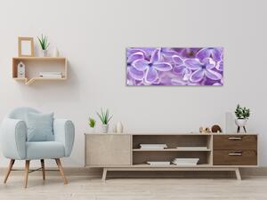 Obraz sklenený detail kvety fialového orgovánu - 30 x 60 cm