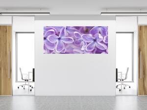 Obraz sklenený detail kvety fialového orgovánu - 40 x 60 cm