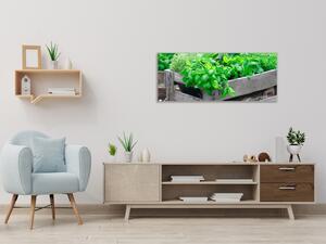Obraz sklenený drevená debna s bylinkami - 30 x 60 cm