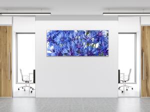 Obraz sklenený detail kvety nevädze - 30 x 60 cm
